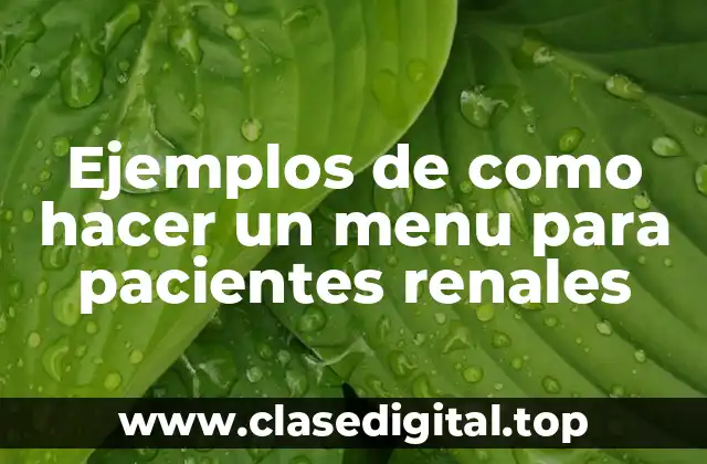 Ejemplos de como hacer un menu para pacientes renales