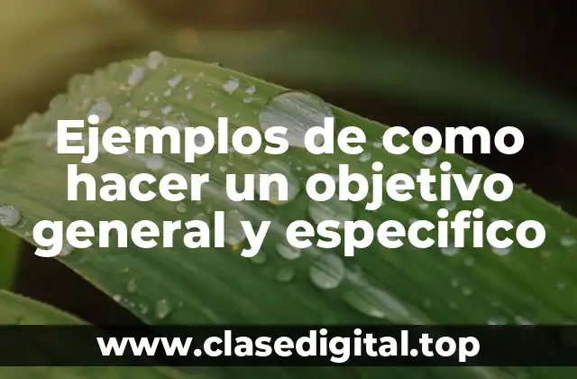 Ejemplos de como hacer un objetivo general y especifico