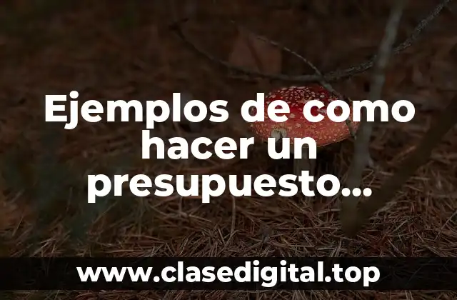 Ejemplos de como hacer un presupuesto asignado por estrategia