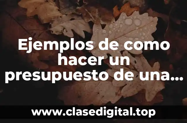 Ejemplos de como hacer un presupuesto de una empresa