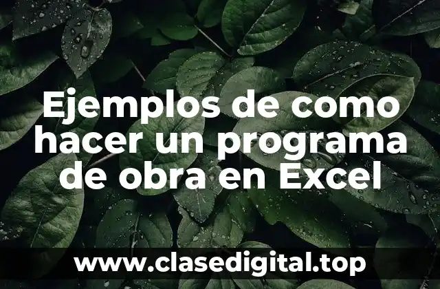 Ejemplos de programas de obra en Excel