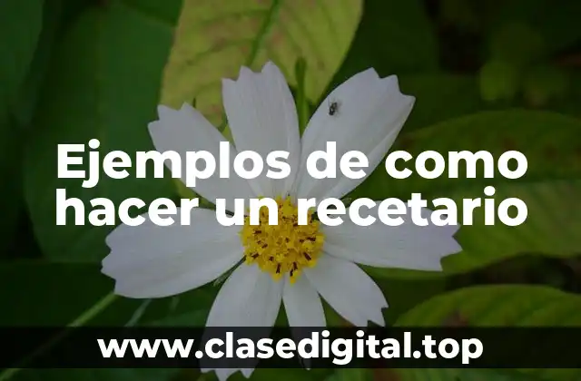 Ejemplos de como hacer un recetario