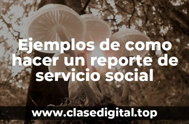 Ejemplos de como hacer un reporte de servicio social