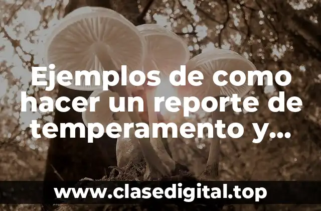 Ejemplos de reportes de temperamento