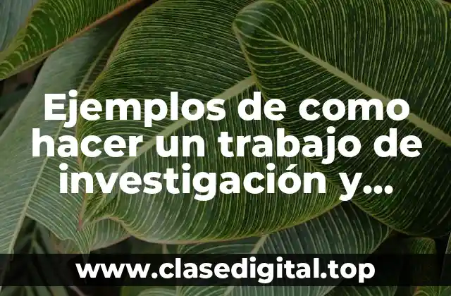 Ejemplos de como hacer un trabajo de investigación y Significado