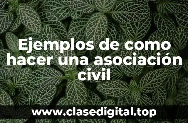 Ejemplos de como hacer una asociación civil