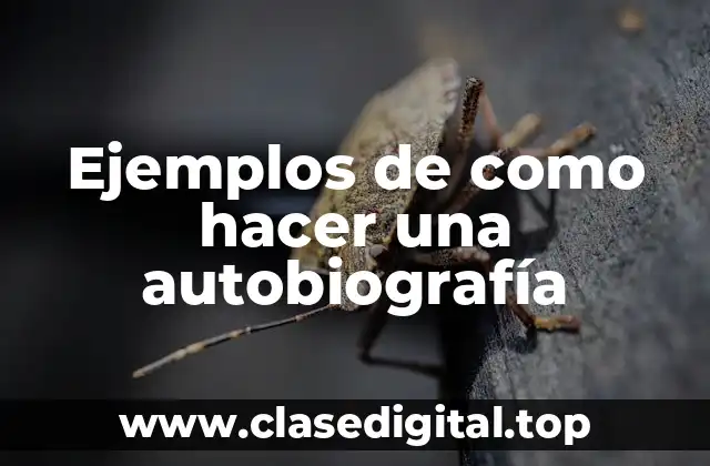 Ejemplos de como hacer una autobiografía
