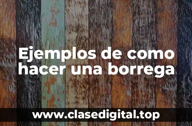 Ejemplos de cómo hacer una borrega