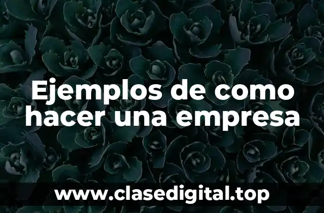 Ejemplos de como hacer una empresa