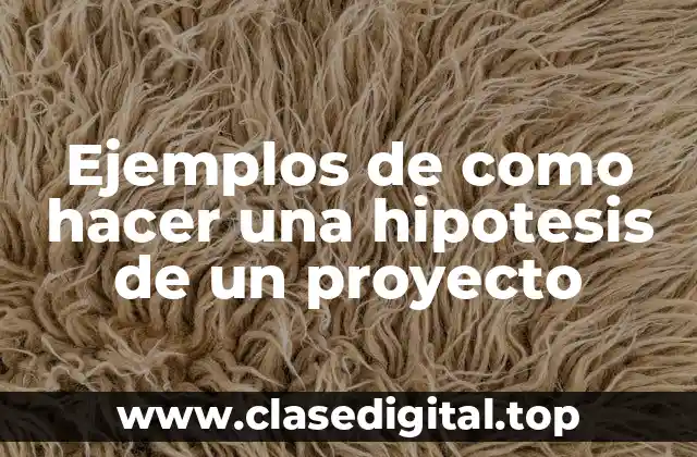 Ejemplos de como hacer una hipotesis de un proyecto