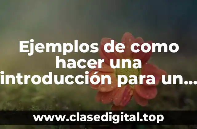 Ejemplos de como hacer una introducción para un trabajo