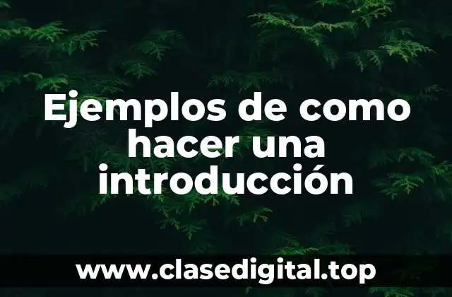 Ejemplos de introducciones