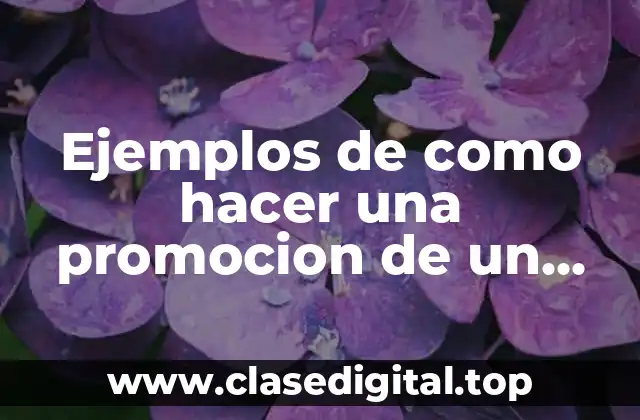 Ejemplos de como hacer una promocion de un producto y Significado