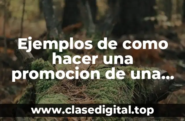 Ejemplos de como hacer una promocion de una audiencia diversa y Significado