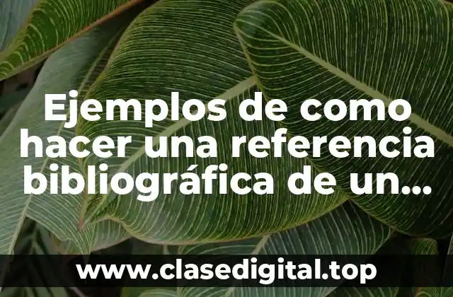 Ejemplos de cómo hacer una referencia bibliográfica de un libro