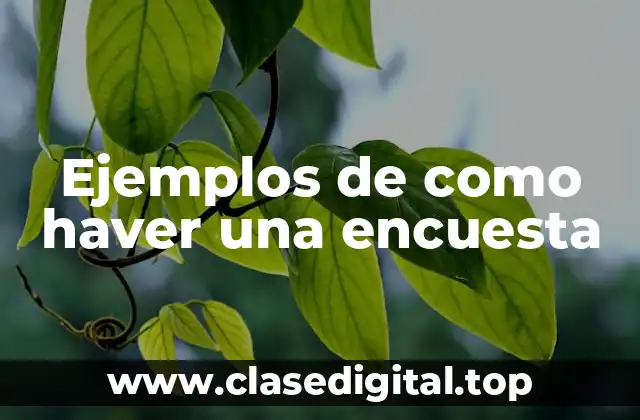 Ejemplos de como haver una encuesta