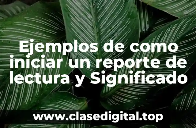 Ejemplos de como iniciar un reporte de lectura y Significado
