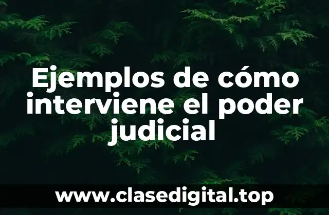 Ejemplos de cómo interviene el poder judicial