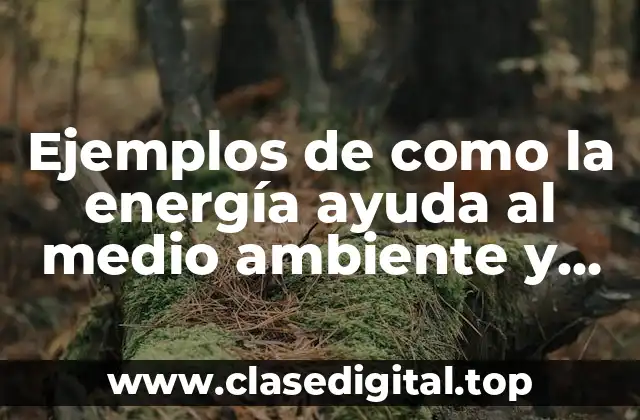 Ejemplos de como la energía ayuda al medio ambiente y Significado