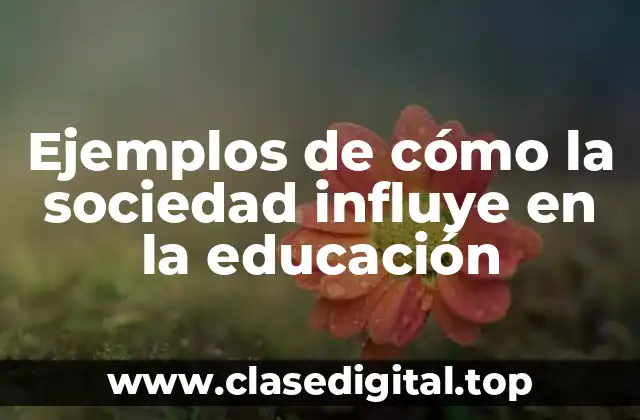 Ejemplos de cómo la sociedad influye en la educación