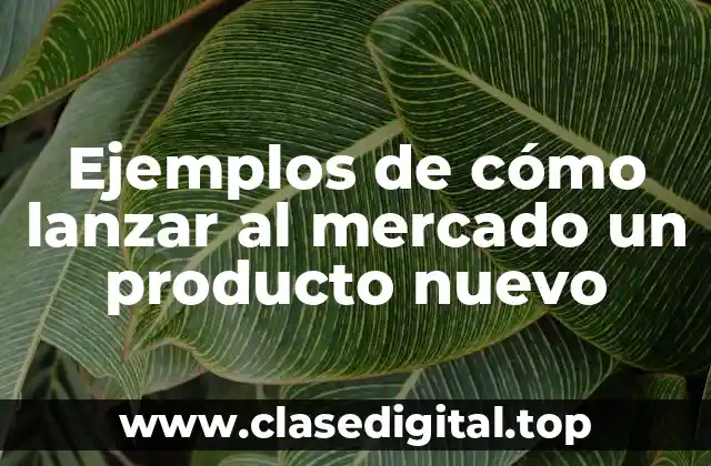 Ejemplos de cómo lanzar al mercado un producto nuevo