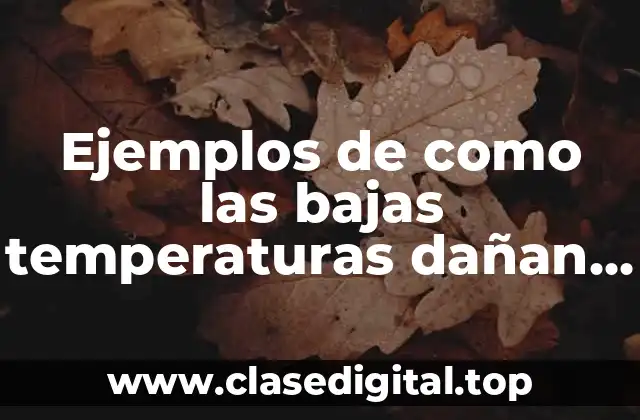 Ejemplos de como las bajas temperaturas dañan los aliemtos