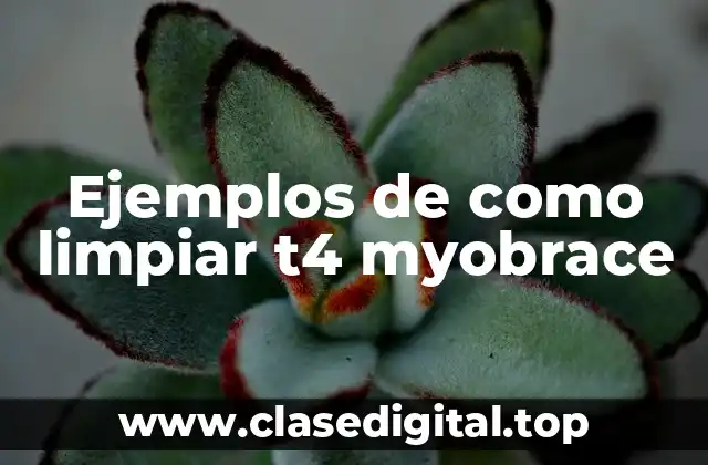 Ejemplos de como limpiar t4 myobrace
