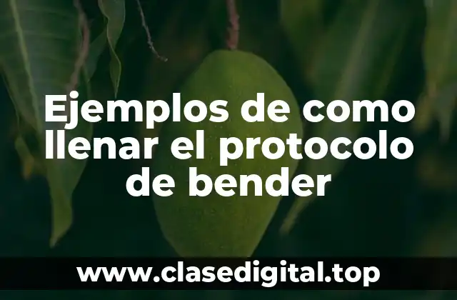 Ejemplos de como llenar el protocolo de bender