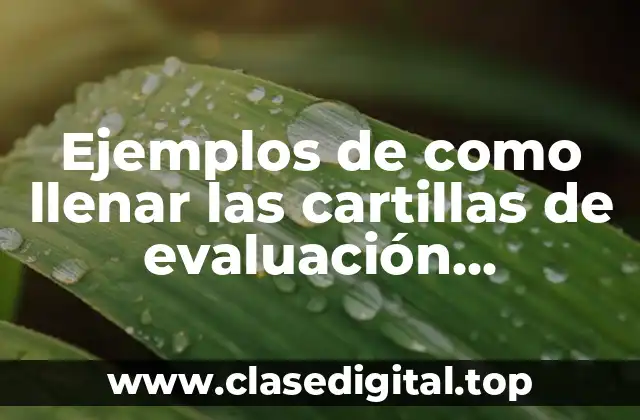 Ejemplos de como llenar las cartillas de evaluación preescolar y Significado