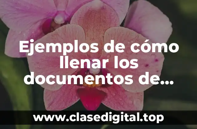 Ejemplos de cómo llenar los documentos de divorcio