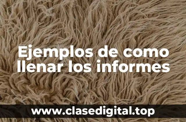 Ejemplos de como llenar los informes