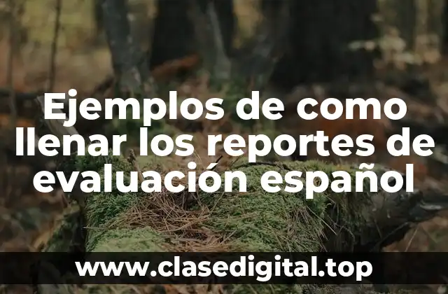 Ejemplos de como llenar los reportes de evaluación español