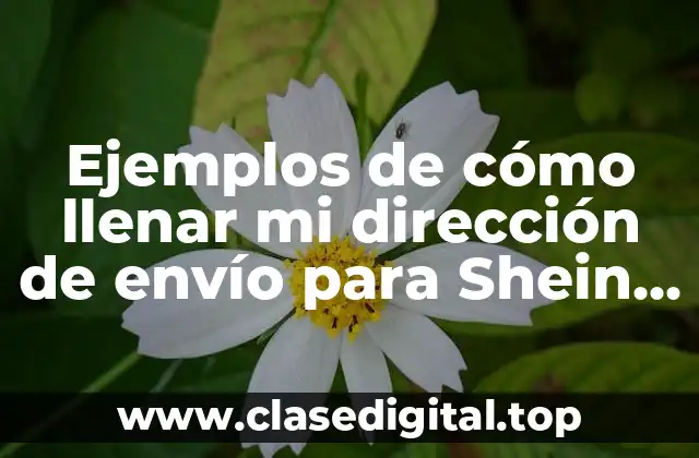 Ejemplos de cómo llenar mi dirección de envío para Shein y Significado