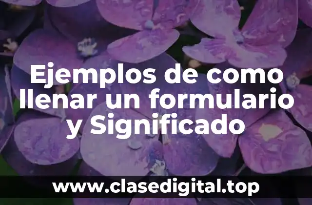 Ejemplos de como llenar un formulario