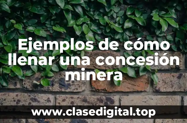 Ejemplos de cómo llenar una concesión minera