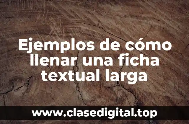 Ejemplos de cómo llenar una ficha textual larga