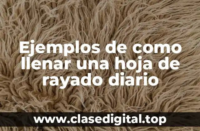 Ejemplos de cómo llenar una hoja de rayado diario