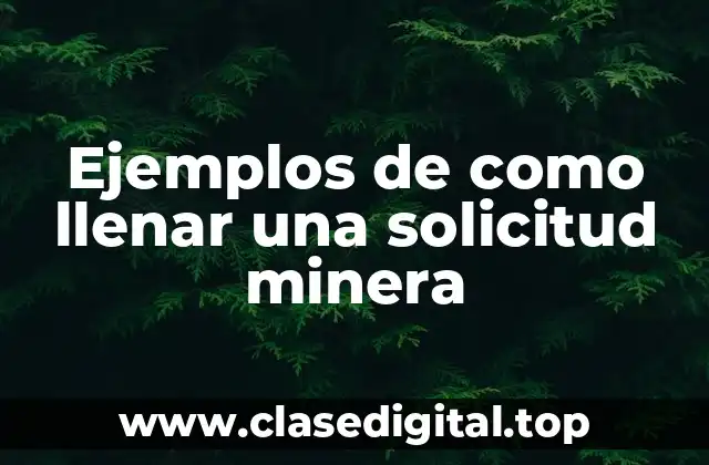 Ejemplos de como llenar una solicitud minera