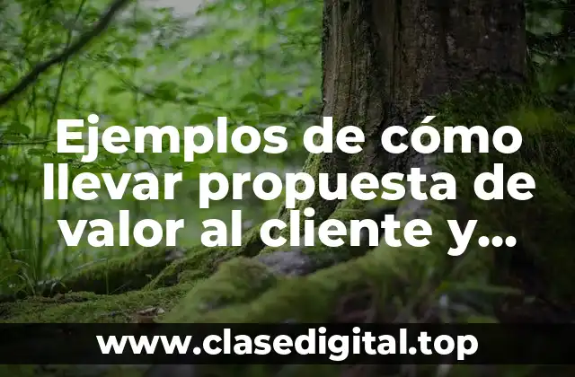 Ejemplos de cómo llevar propuesta de valor al cliente