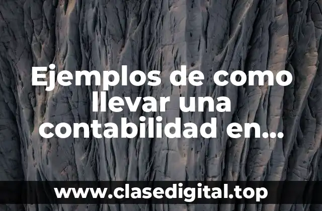 Ejemplos de como llevar una contabilidad en Excel y Significado