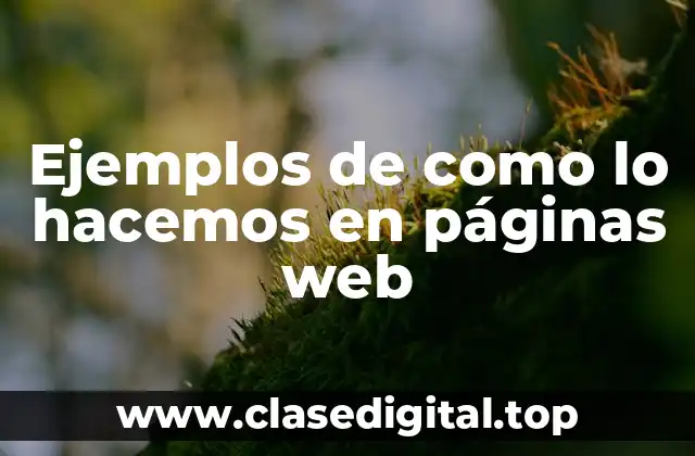 Ejemplos de como lo hacemos en páginas web