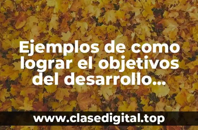 Ejemplos de como lograr el objetivos del desarrollo sustentable