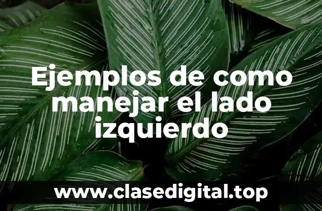 Ejemplos de como manejar el lado izquierdo