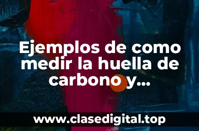 Ejemplos de como medir la huella de carbono y Significado