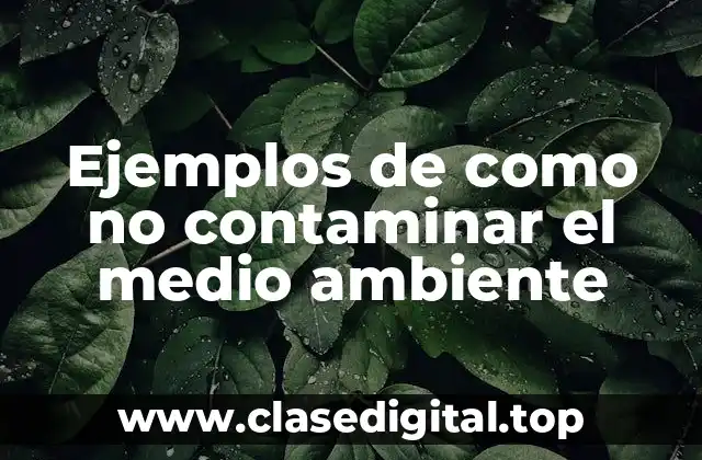 Ejemplos de como no contaminar el medio ambiente