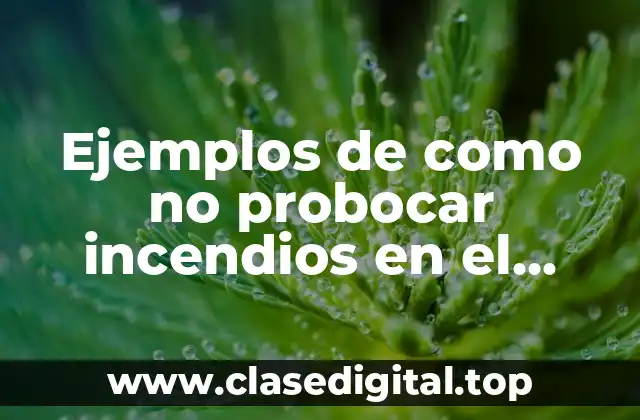 Ejemplos de como no probocar incendios en el bosque y Significado