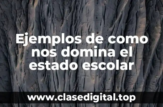 Ejemplos de como nos domina el estado escolar