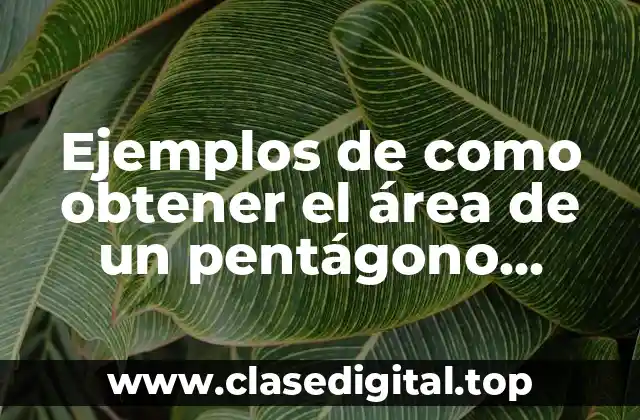 Ejemplos de como obtener el área de un pentágono irregular