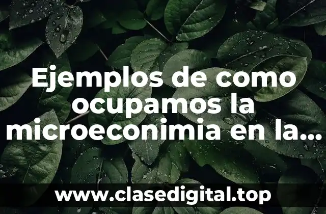 Ejemplos de como ocupamos la microeconimia en la vida diaria
