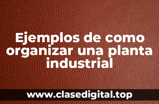Ejemplos de como organizar una planta industrial